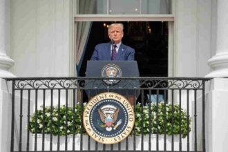 Since Trump returns to the White House, the crypto market will wipe out more than $700 billion
