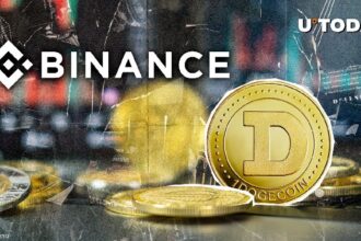 300 million dog coins (doge) because the sale of Black Monday may be real