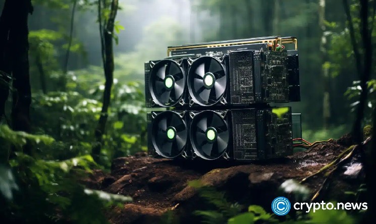 Bitcoin Minor Hive Digital stock jumps 2% when completing a 100 MW site in Paraguay