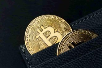 BTC in the facility will skyrocket despite a crash in Bitcoin prices
