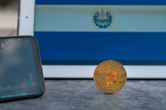 89% of registered Bitcoin service providers are inactive in El Salvador