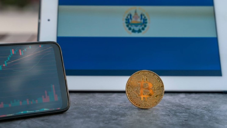 89% of registered Bitcoin service providers are inactive in El Salvador