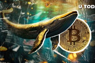 Bitcoin Zilla continues to accumulate, here's what it means
