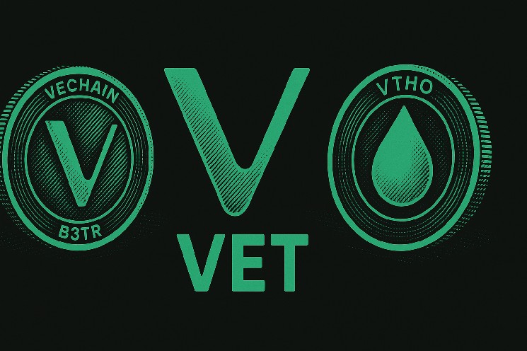 B3TR, VET and VTHO are now available to spend anywhere with the new Stella Pay Visa card