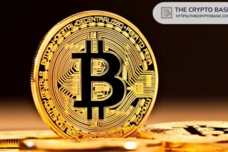 Despite macrochaos, there are factors that can enhance Bitcoin