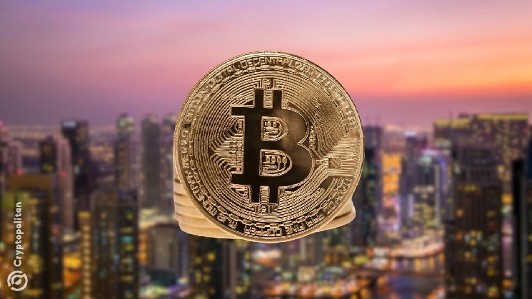License for subsidized digital asset payment subsidiaries of the UAE Central Bank