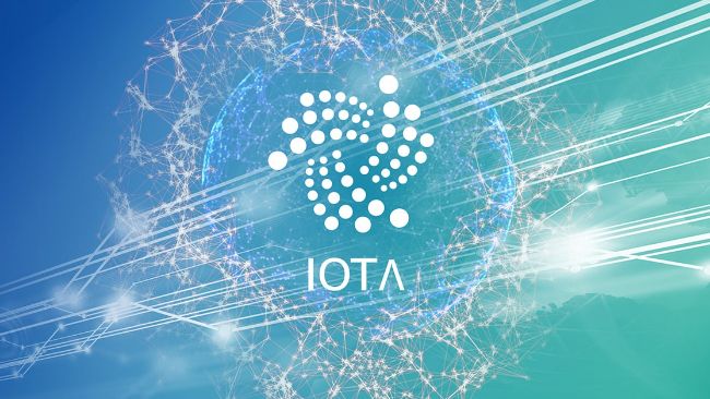 Allows institutional access to IOTA and beyond