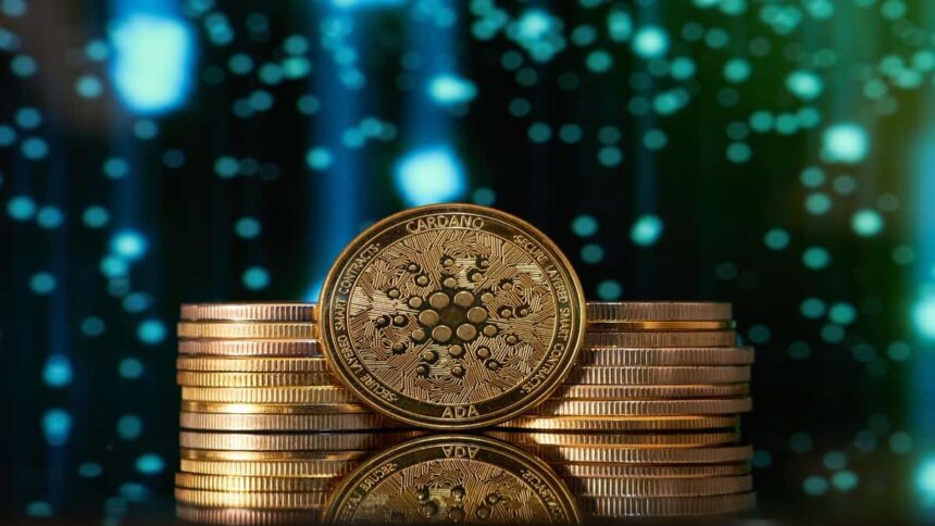 Dogecoin uptick