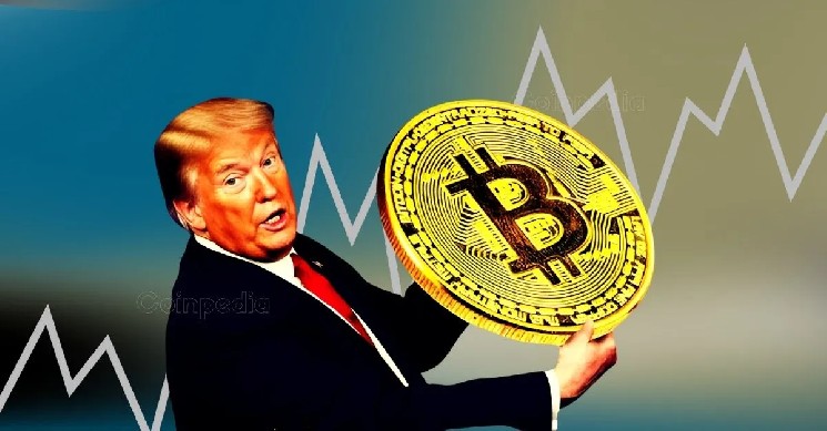 Trump's crypto policy could turn us into "the biggest tax shelter in history."