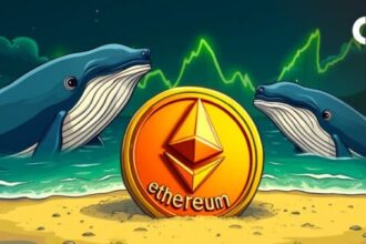 What does Ethereum whales know that we don't?