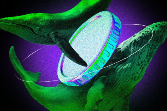 What the whales buy after the Black Monday crash