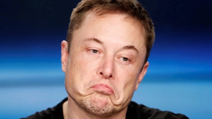 Elon Musk does it again - sends price of unknown Altcoin rising
