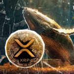 Giant Whale Bets $6 million on XRP