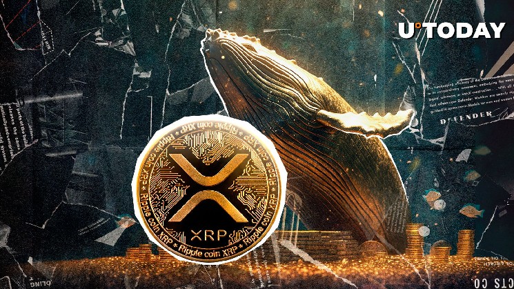 Giant Whale Bets $6 million on XRP