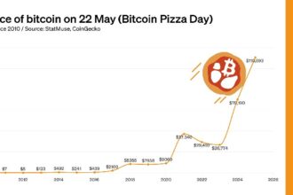 Bitcoin pizza price per day