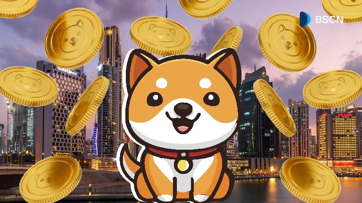 What are babydoge properties?