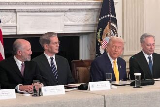 The Trump family profited $320 million on Memecoin despite a 87% drop from day one