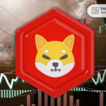 Here's what the Shiba INU team did for the SHIB ecosystem