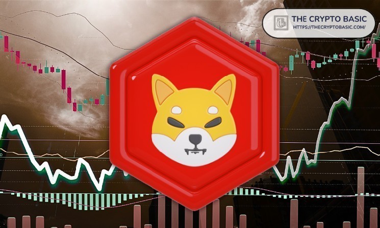 Here's what the Shiba INU team did for the SHIB ecosystem