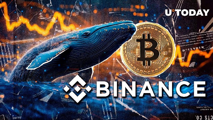 $170 million in Bitcoin has moved in Crypto Market Retreat