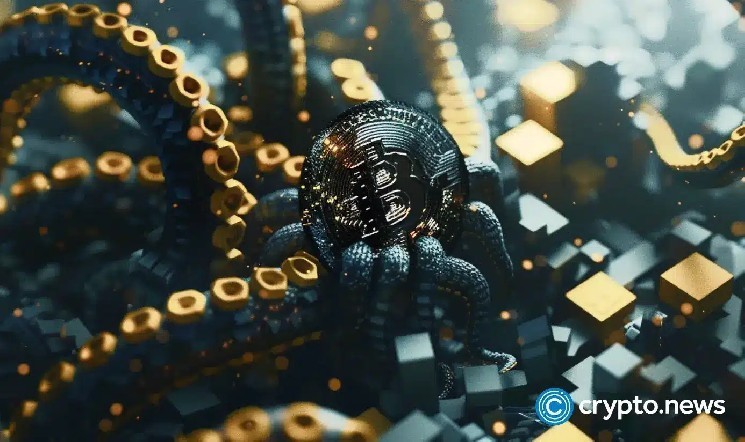 Here's why Rize Crypto is over 40% today