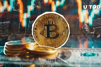 Bitcoin probably won't fall below $47,000. This is the reason