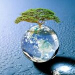 Zimbabwe has developed a blockchain-based carbon credit market system