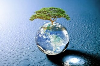 Zimbabwe has developed a blockchain-based carbon credit market system