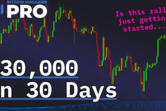 Bitcoin prices will skyrocket $30,000 in 30 days! What's next?