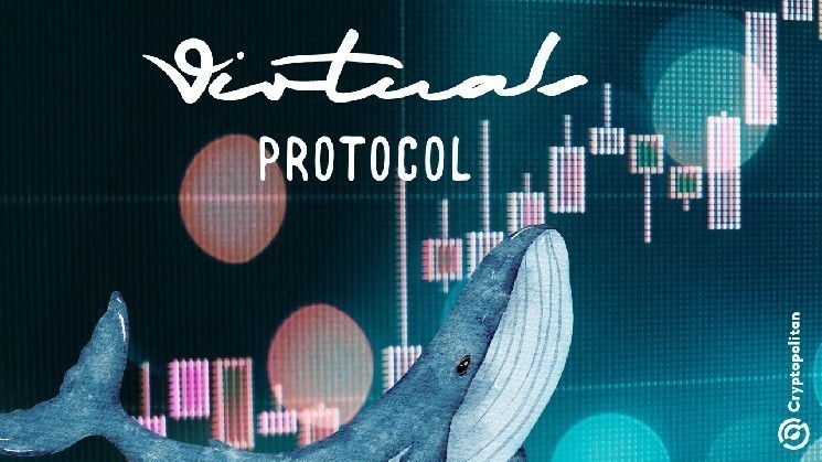 The AI ​​Agent Platform Virtuals protocol is currently controlled primarily by whales