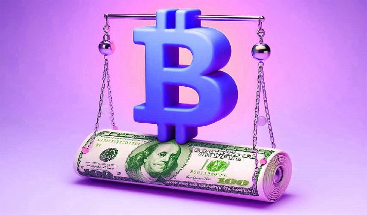 Preston Pisch solves global problems that lead to chaos and expansion of Fiat currency Bitcoin