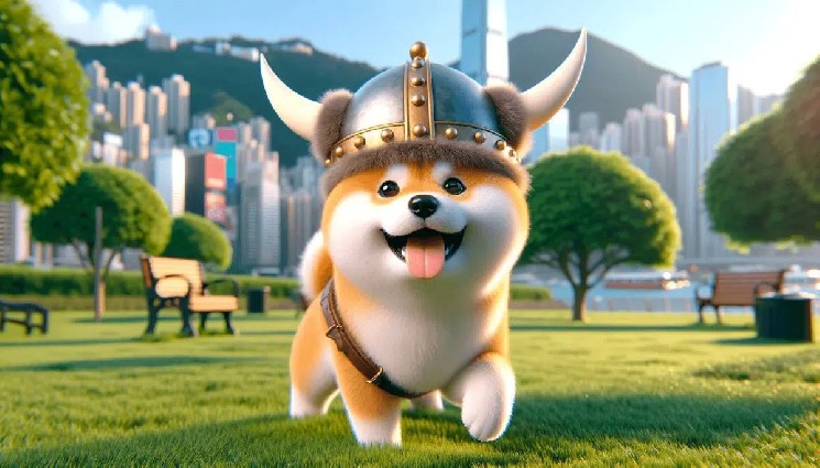 Floki INU helps Web3 users with a new identity platform