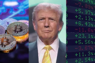Trump says stocks and codes "just go up from here."
