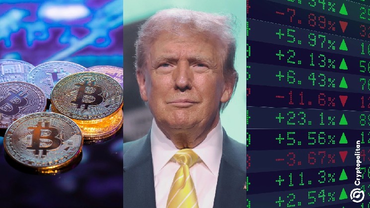Trump says stocks and codes "just go up from here."