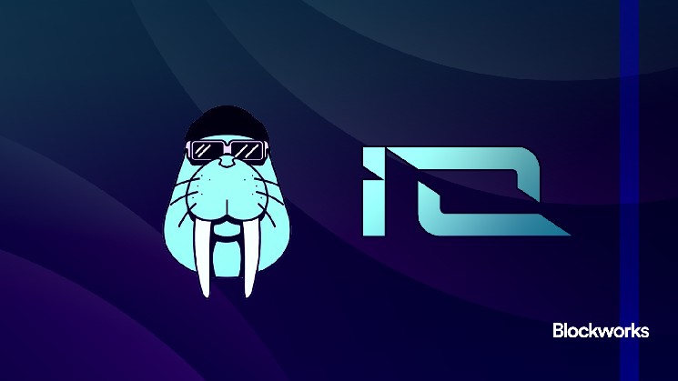 Walrus, IO brings GPUs and distributed storage to AI builders