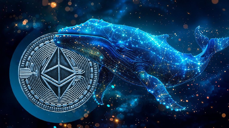 Ethereum accumulation is the highest ever in this cycle