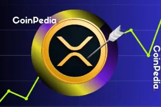 XRP Whale accumulates quietly as a breakout in price eyes