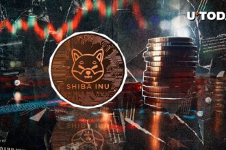 Shiba inu Burn Rate Rockets 12,833.29%, Shiv will raise the price of comeback?