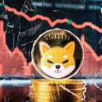 Shiba inu whale transactions have fallen by 91%, what is happening?