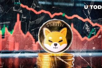 Shiba inu whale transactions have fallen by 91%, what is happening?