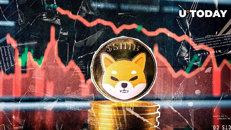 Shiba inu whale transactions have fallen by 91%, what is happening?