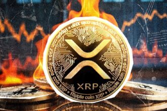 XRP burns with the collapse of 14 million milestones: Details