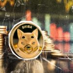 Important Crypto Market Statement published by Shib Team: More Information
