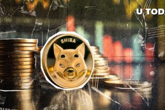 Important Crypto Market Statement published by Shib Team: More Information