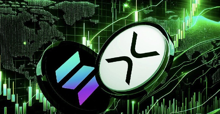XRP and Solana Treasury's plans are likely scams, warning Vaneck