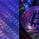BTC holders benefit most, but ADA holders struggle to maintain their faith