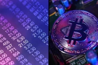 BTC holders benefit most, but ADA holders struggle to maintain their faith