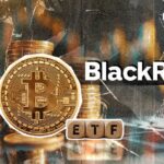 BlackRock's Bitcoin ETF is split into top 20