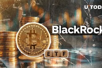 BlackRock's Bitcoin ETF is split into top 20