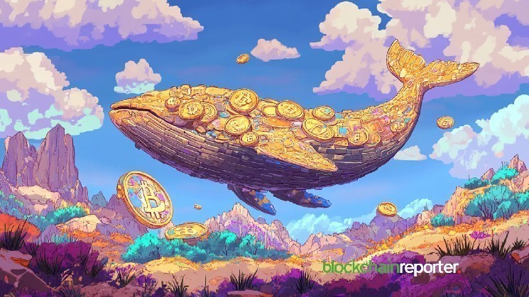 Bitcoin Zilla is solid as Binance inflows plummet to $300 million